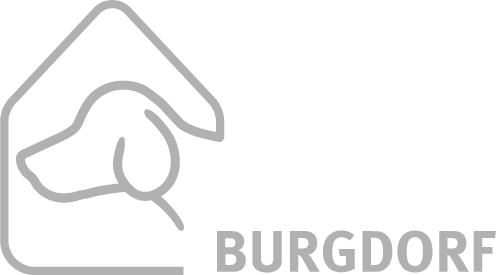 Hundepension Burgdorf